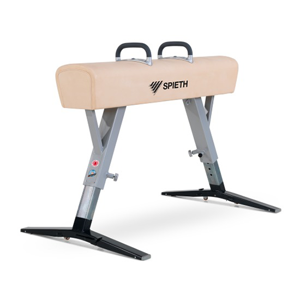 Gymnastic Pommel Horse