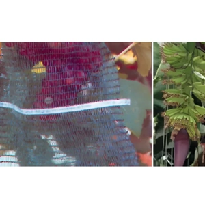 Fruit Protection Bag