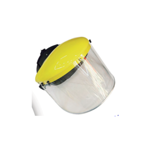 Facial Shield Accessory