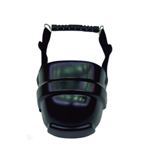 Shoe Guard