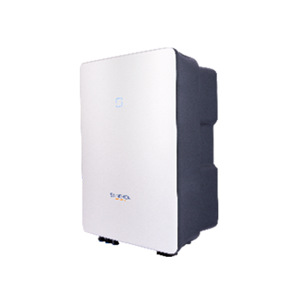 Power Inverter