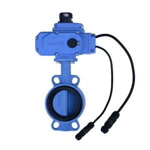 Butterfly Valve