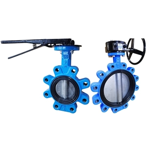 Butterfly Valve