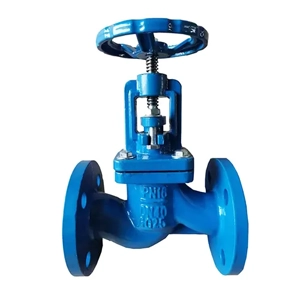 Globe Valve