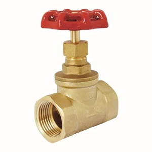 Globe Valve