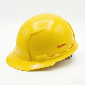 Safety Helmet
