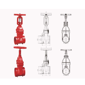 Gate Valve