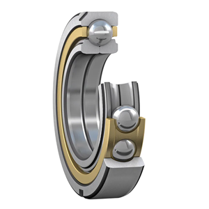 Four Point Bearing