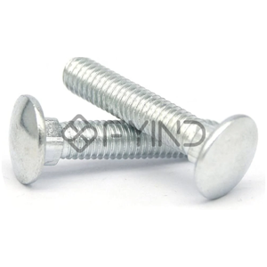 Carriage Bolt