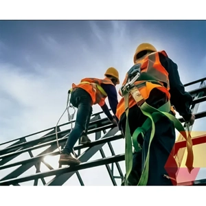 Manpower Supply Service