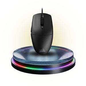 Computer Mouse