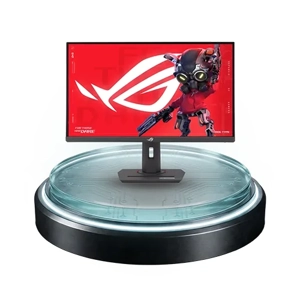LCD Panel or Monitor