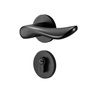 Door Lock