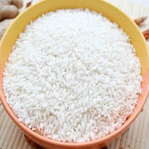 Rice Grain
