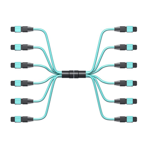 Patch Cord