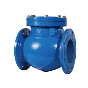 Check Valve