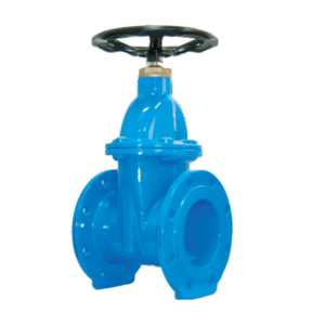 Gate Valve
