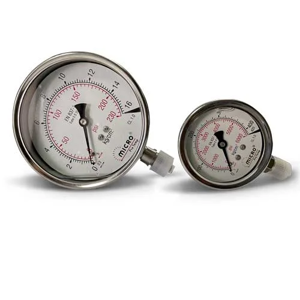 Pressure Gauge