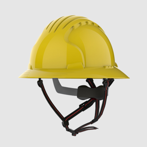 Safety Helmet