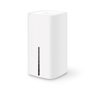 Network Router