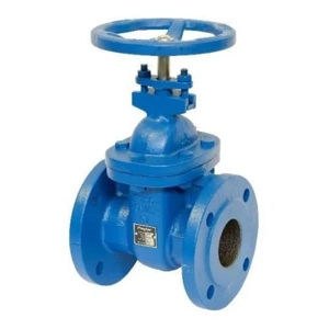 Gate Valve