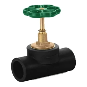 Globe Valve