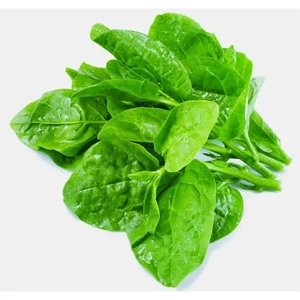 Spinach Seed