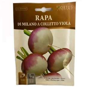 Turnip Seed