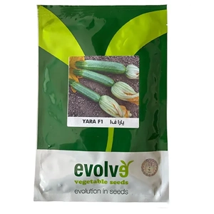 Zucchini Seed