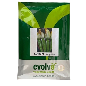 Zucchini Seed