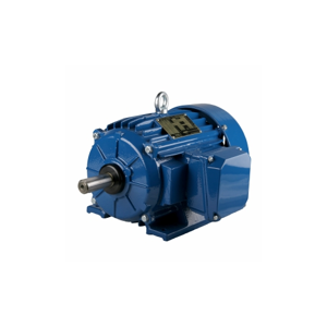 Electric Motor