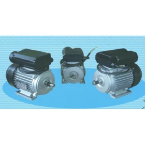 Electric Motor
