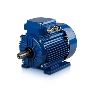 Induction Motor