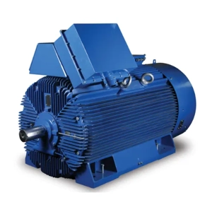Induction Motor