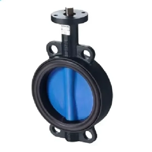 Butterfly Valve