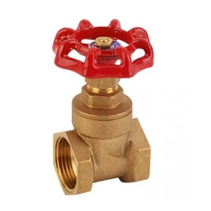Gate Valve