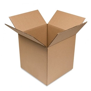 Packaging Carton