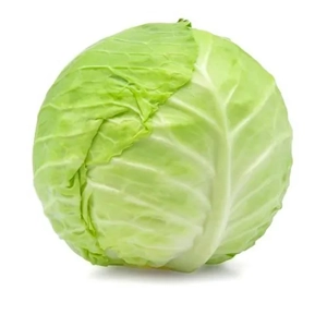 Cabbage Seed