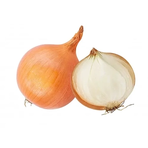 Onion Seed