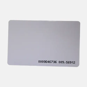 Radio Frequency Identification Card
