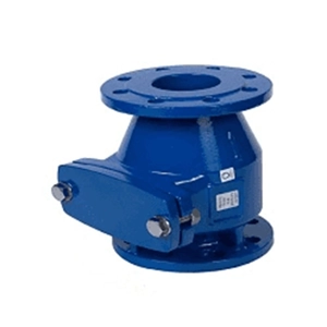 Check Valve