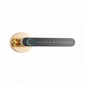 Door Lock