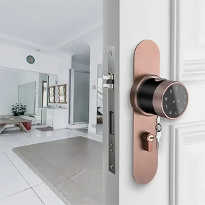 Door Lock