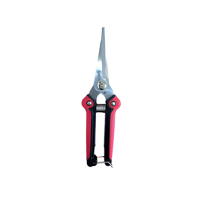 Pruning Shear