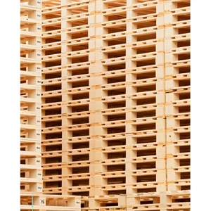 Wood Pallet