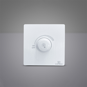 Electrical Switch