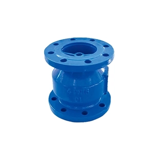 Check Valve