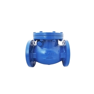 Check Valve