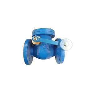 Check Valve