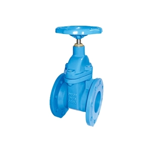 Gate Valve